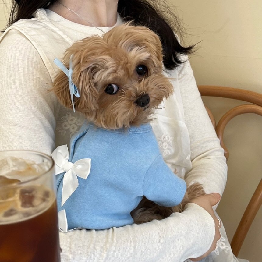 Winter Clothing For Dogs - Zimowa koszulka dla pudla, nowy styl,