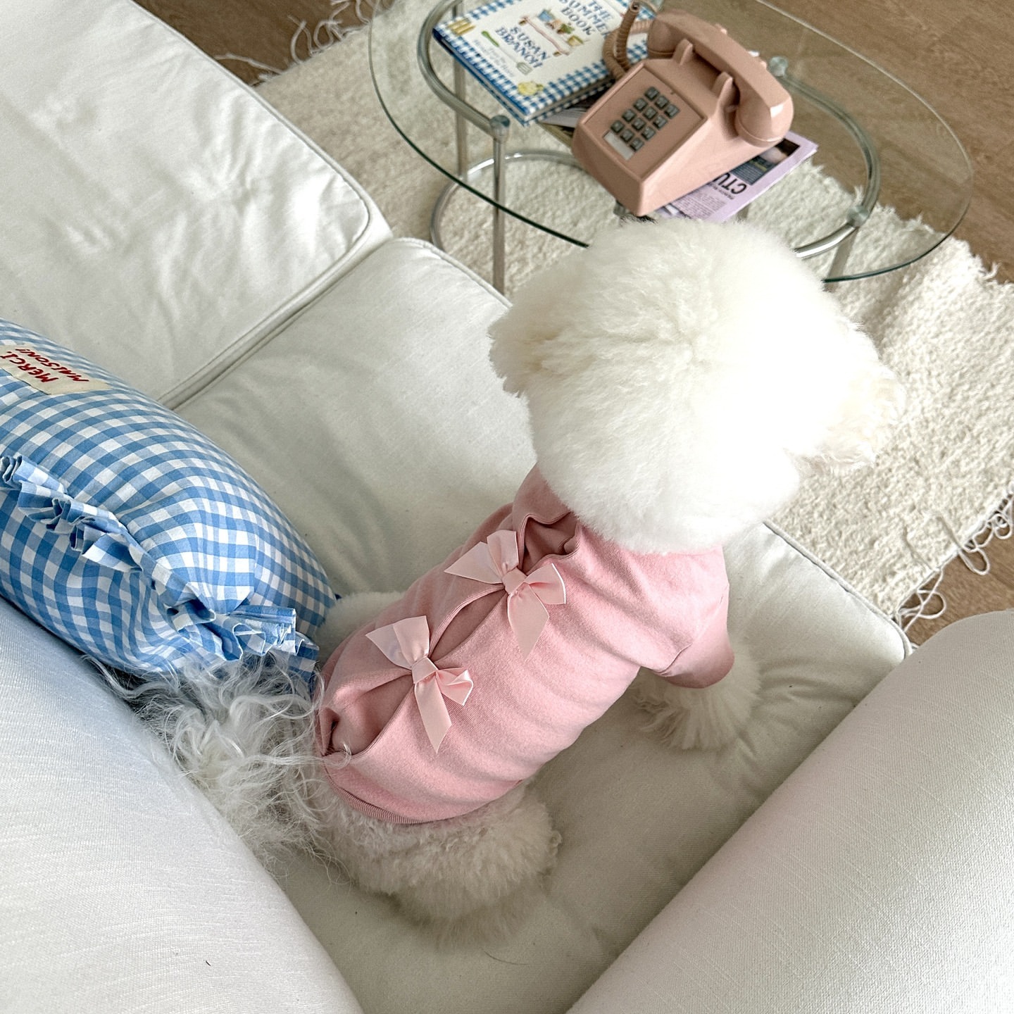 Zimowa koszulka dla pudla, now – Winter Clothing For Dogs recenzja i cena