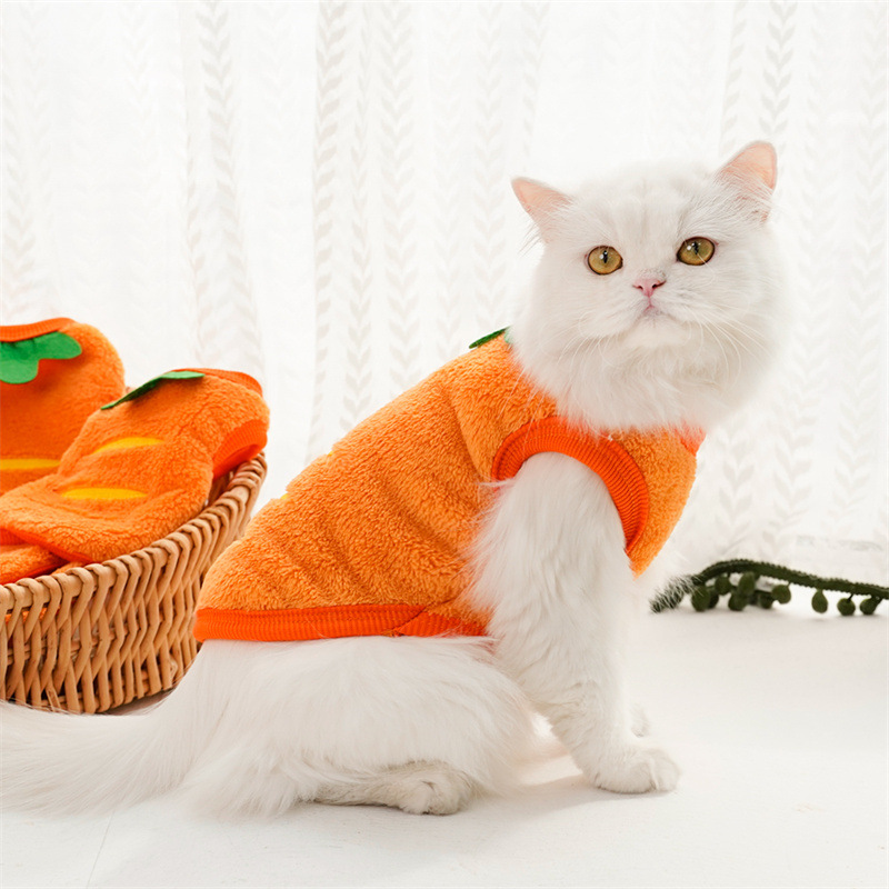 Ubrania dla zwierząt Zimowe ci – Winter Clothing For Dogs recenzja i cena