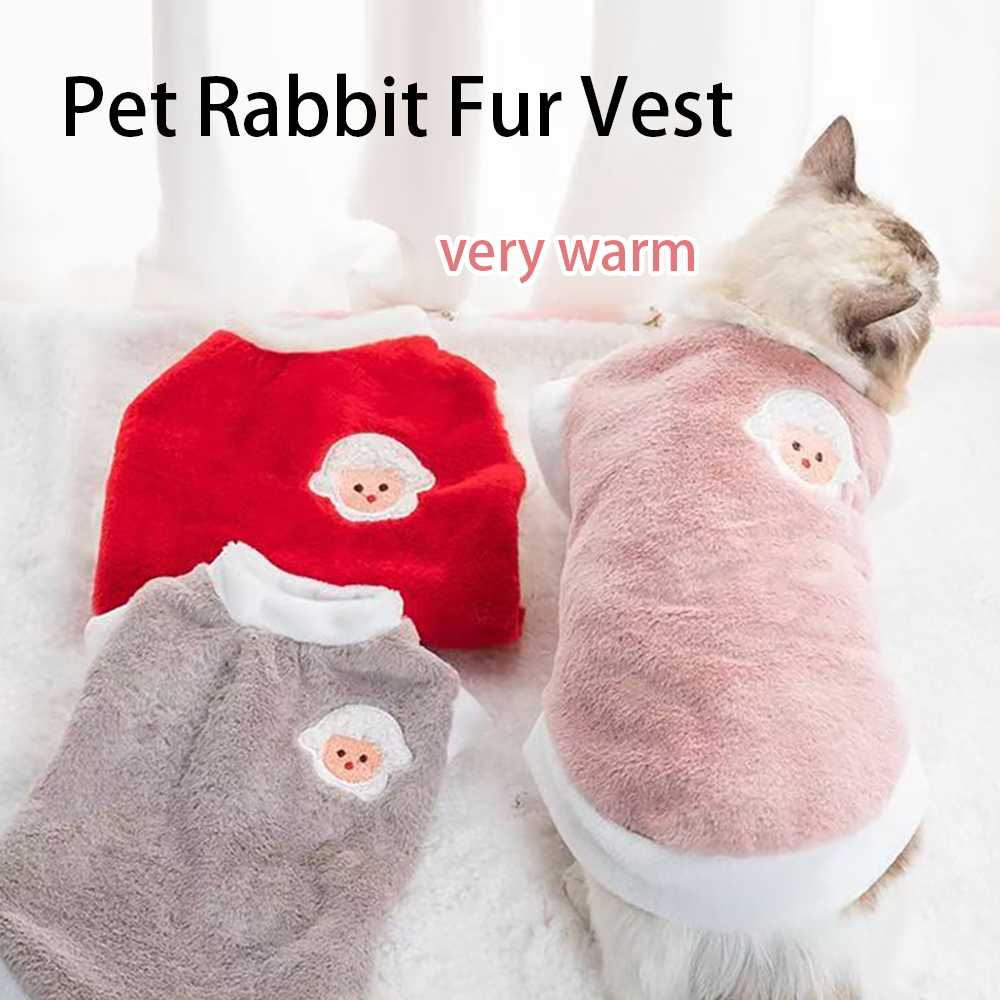 Jesienno-zimowe ubranka dla zw – Winter Clothing For Dogs recenzja i cena